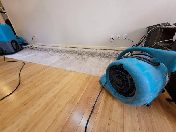 Professional Water Removal technician working in Oberlin, LA